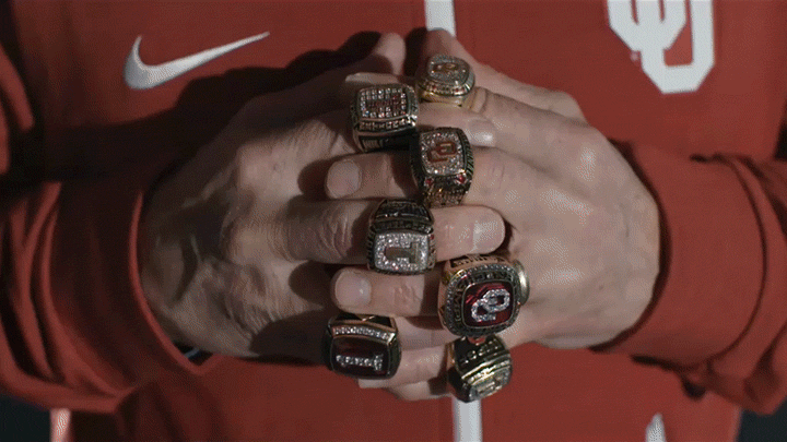 Dynasty
